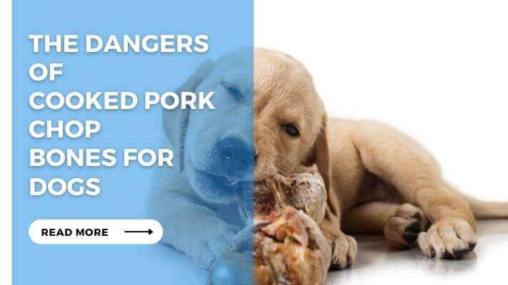 The Dangers of Cooked Pork Chop Bones for Dogs