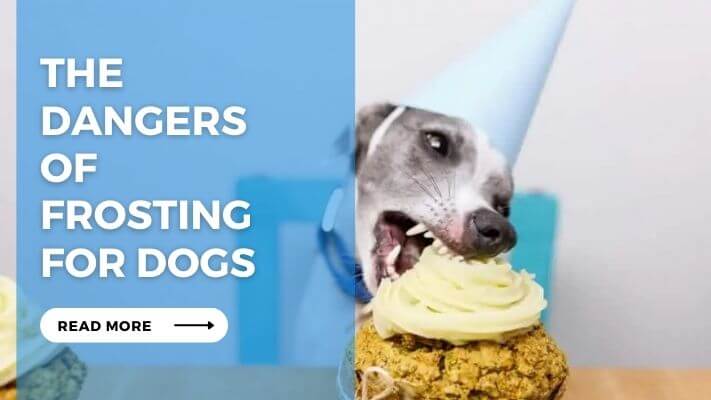 The Dangers of Frosting for Dogs