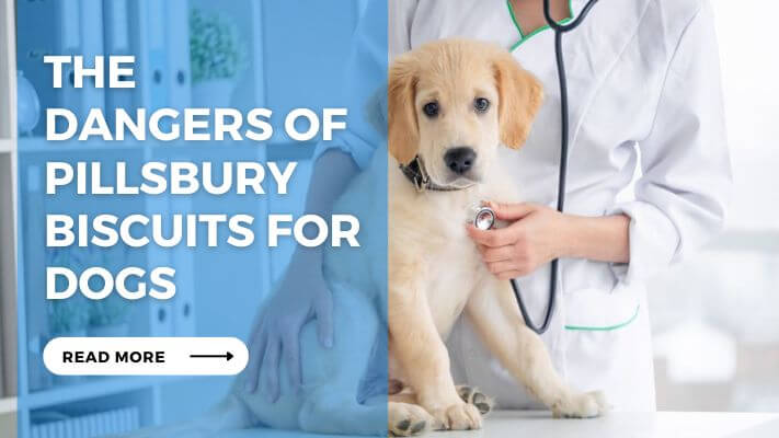 The Dangers of Pillsbury Biscuits for Dog