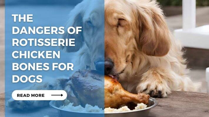 The Dangers of Rotisserie Chicken Bones for Dogs