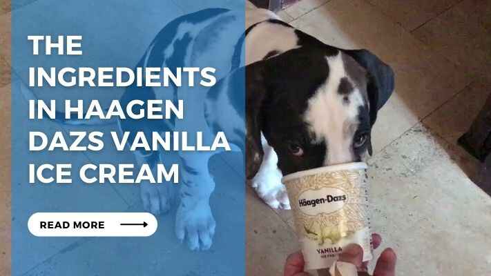 The Ingredients in Haagen Dazs Vanilla Ice Cream