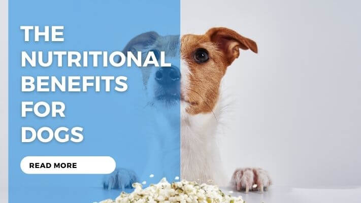 The Nutritional Benefits for Dogs
