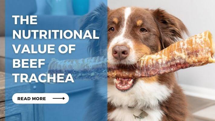 The Nutritional Value of Beef Trachea