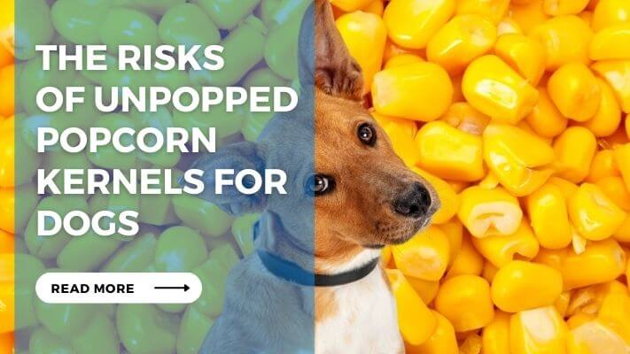 The Risks of Unpopped Popcorn Kernels for Dogs