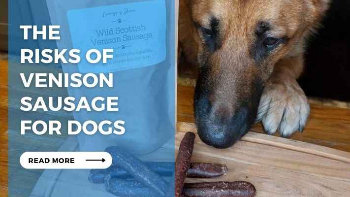 The Risks of Venison Sausage for Dog