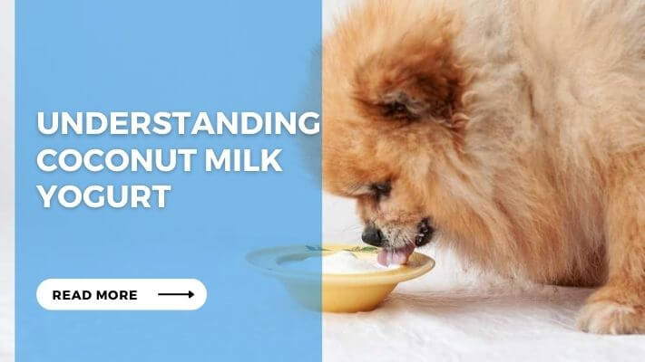 Understanding Coconut Milk Yogurt