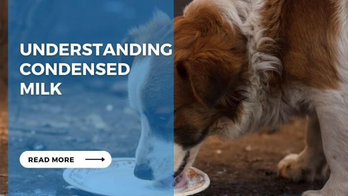 Understanding Condensed Milk