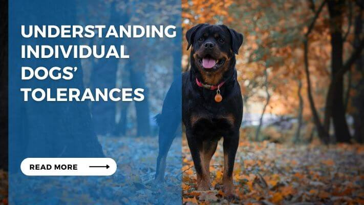 Understanding Individual Dogs Tolerances