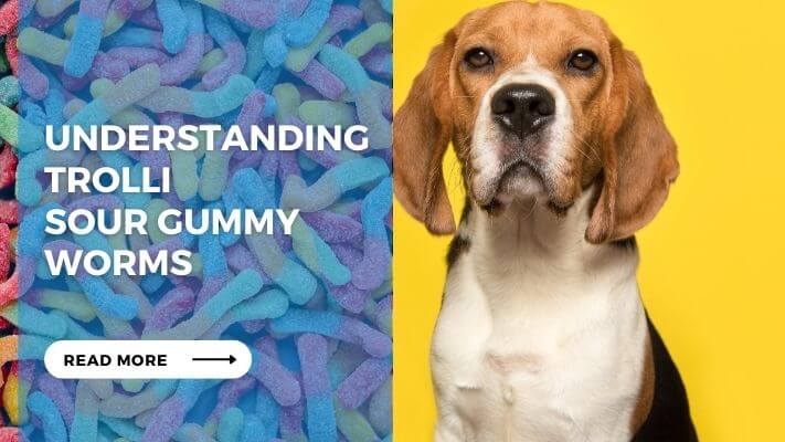 Understanding Trolli Sour Gummy Worms