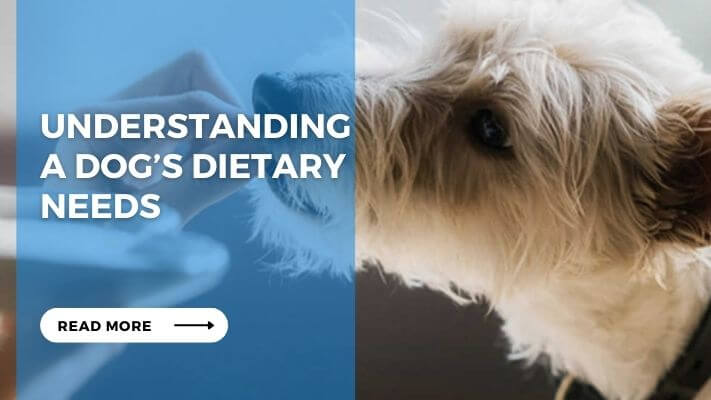 Understanding a Dog’s Dietary Needs