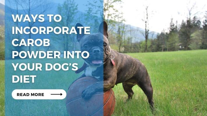 Ways to Incorporate Carob Powder into Your Dogs Diet