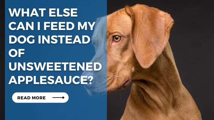 What Else Can I Feed My Dog Instead of unsweetened applesauce?