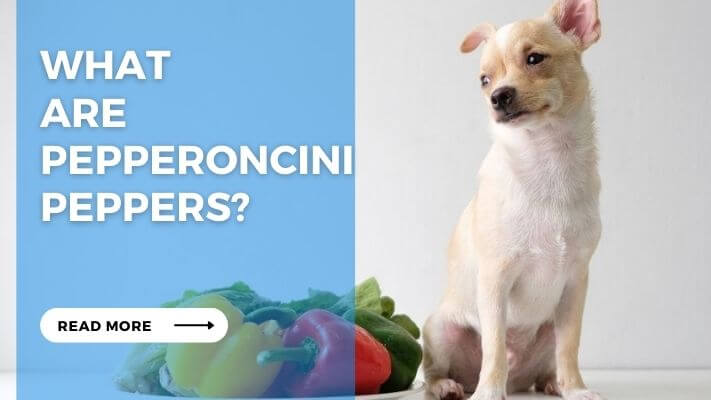 What are Pepperoncini Peppers