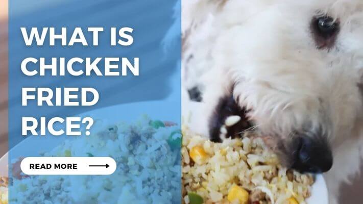 What is Chicken Fried Rice