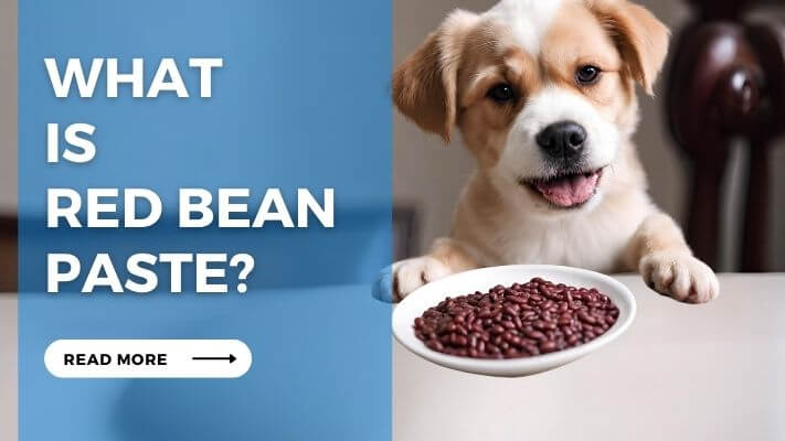 What is Red Bean Paste