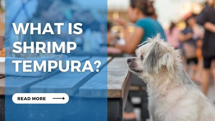 What is Shrimp Tempura