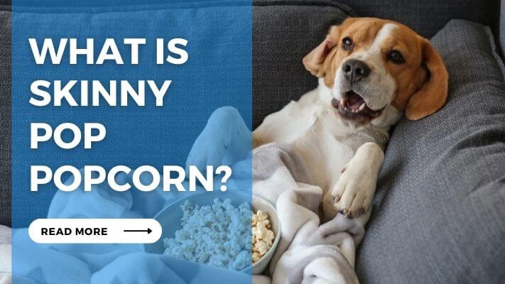 What is Skinny Pop Popcorn