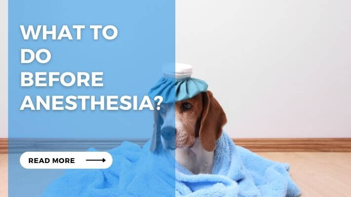 What to Do Before Anesthesia