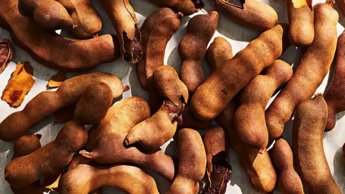 What to do if Your Dog Eats Tamarindo?