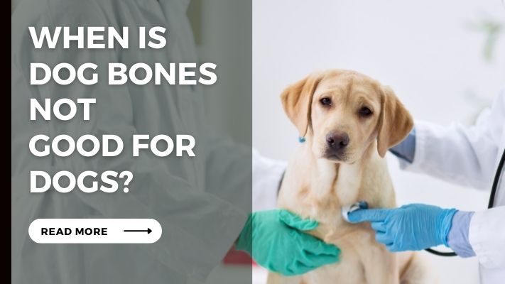 When Is Dog Bones Not Good for Dogs