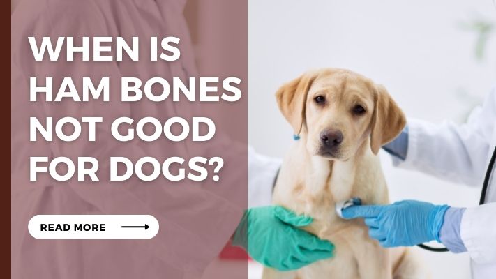 When Is Ham Bones Not Good for Dogs?