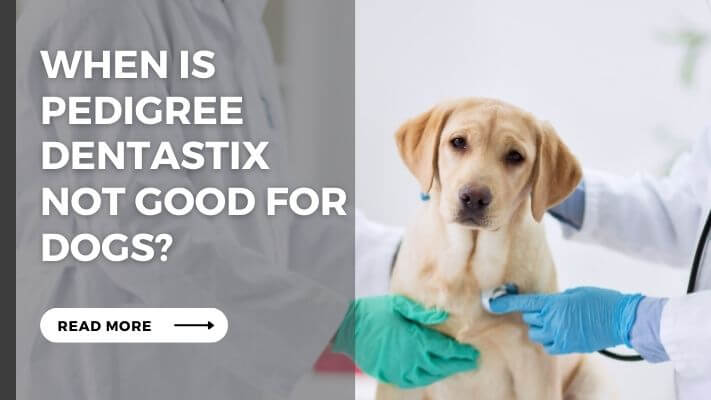 When Is Pedigree Dentastix Not Good for Dogs