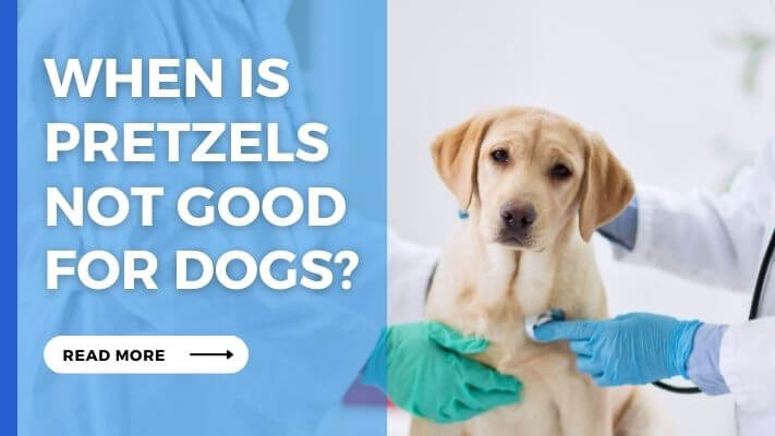 When Is Pretzels Not Good for Dogs