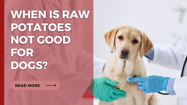 When Is Raw Potatoes Not Good for  Dogs
