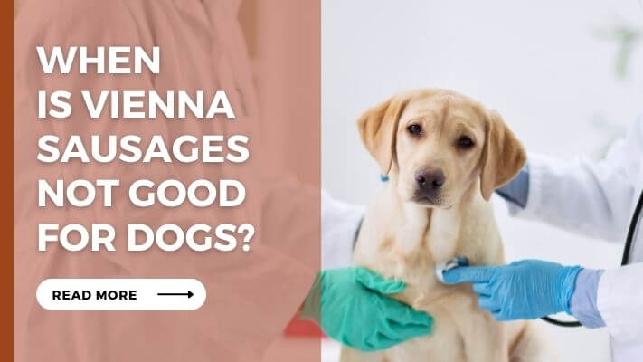 When Is Vienna Sausages Not Good for Dogs?