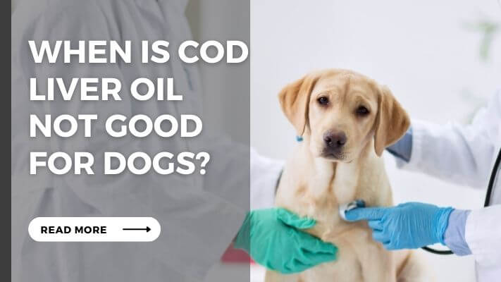 When Is cod liver oil Not Good for Dogs