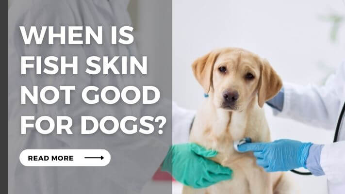 When is Fish Skin not Good for Dogs