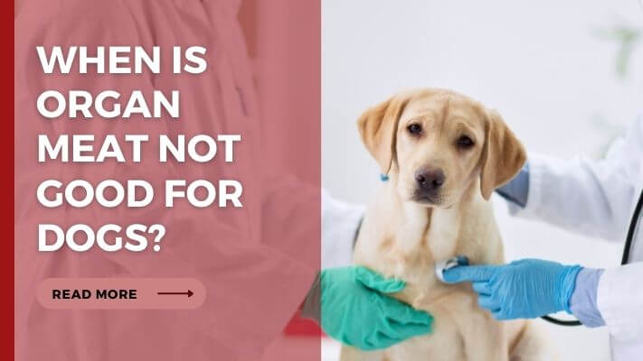 When Is organ meat Not Good for Dogs