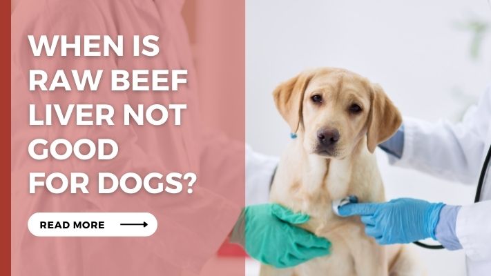 When Is raw beef liver Not Good  for Dogs