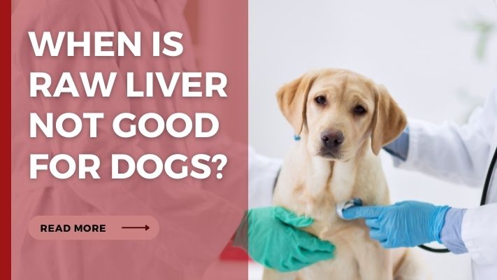 When Is raw liver Not Good for Dogs