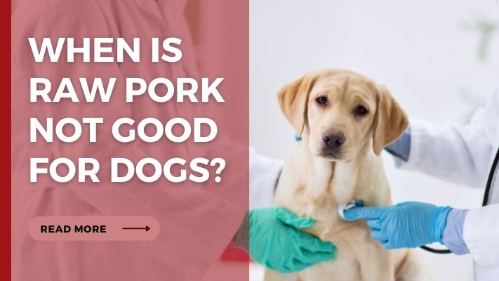 When Is raw pork Not Good for Dogs