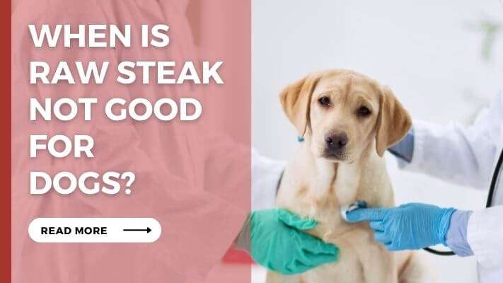 When Is raw steak Not Good for Dogs