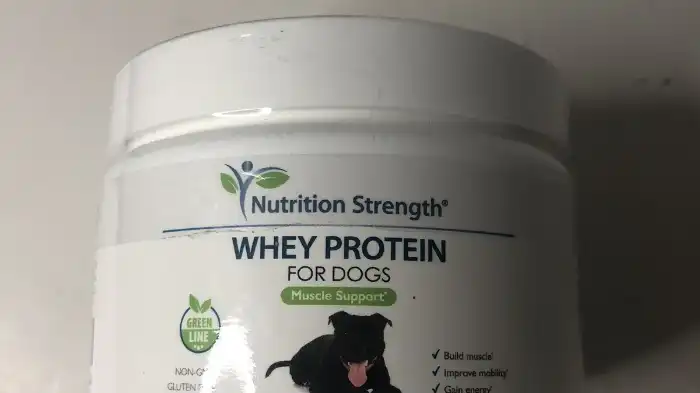 Whey Protein For Dogs