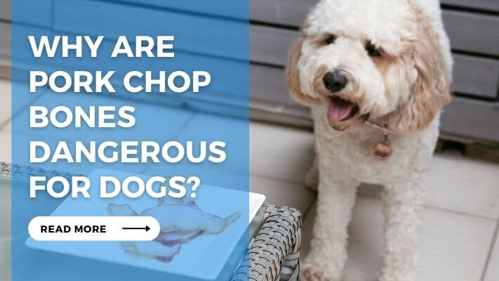 Why Are Pork Chop Bones Dangerous for Dogs