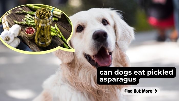 can dogs eat pickled asparagus