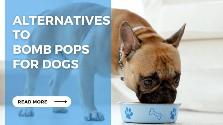 Alternatives to Bomb Pops for Dogs