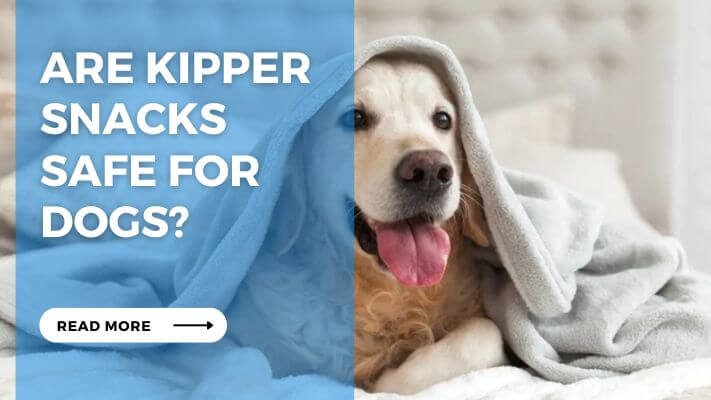 Are Kipper Snacks Safe for Dogs