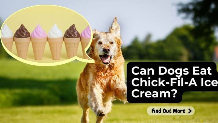 Can Dogs Eat Chick-Fil-A Ice Cream