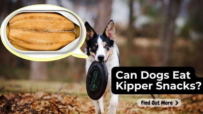 Can Dogs Eat Kipper Snacks