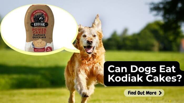 Can Dogs Eat Kodiak Cakes