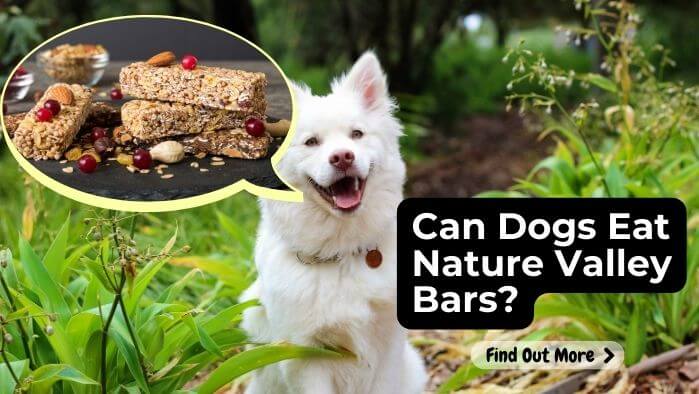 Can Dogs Eat Nature Valley Bars