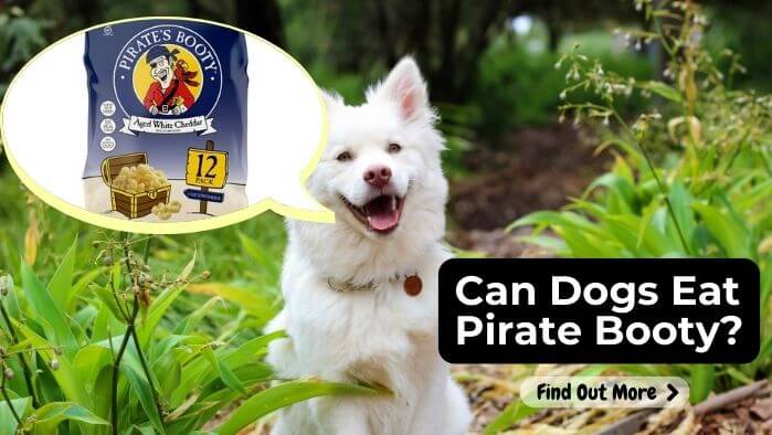 Can Dogs Eat Pirate Booty