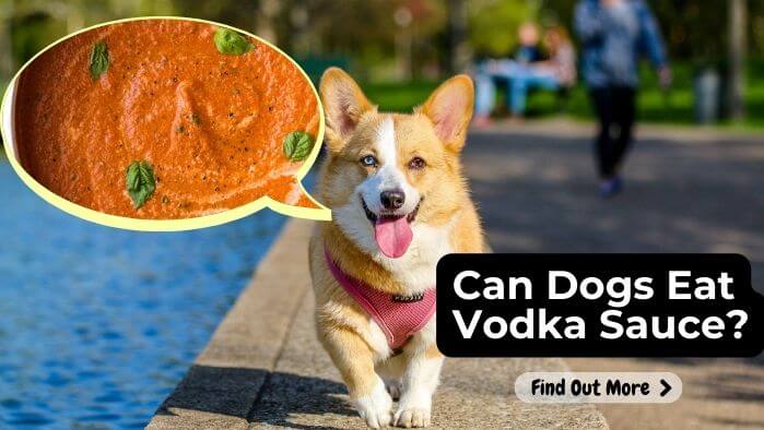 Can Dogs Eat Vodka Sauce