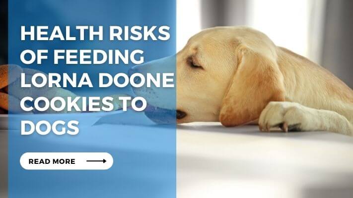 Health risks of feeding Lorna Doone cookies to dogs