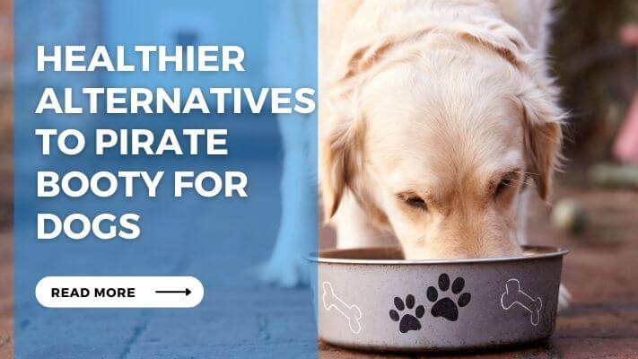 Healthier Alternatives to Pirate Booty for Dogs