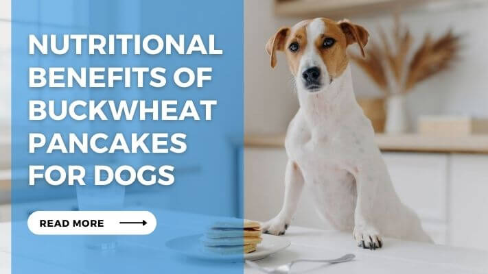 Nutritional Benefits of Buckwheat Pancakes for Dogs